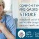 Common Symptoms and Causes of Stroke, Treatments